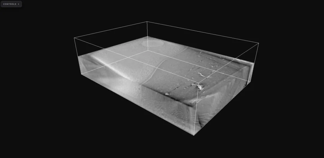 Vibrio cholerae cryo-ET tomogram
