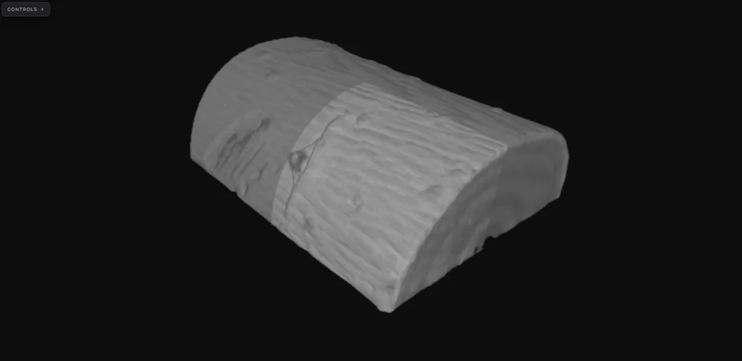 Woodbranch micro-CT scan