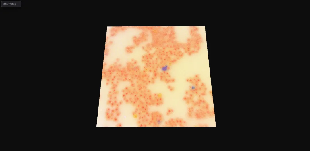 Yeast smFISH, 4-channel fluorescence